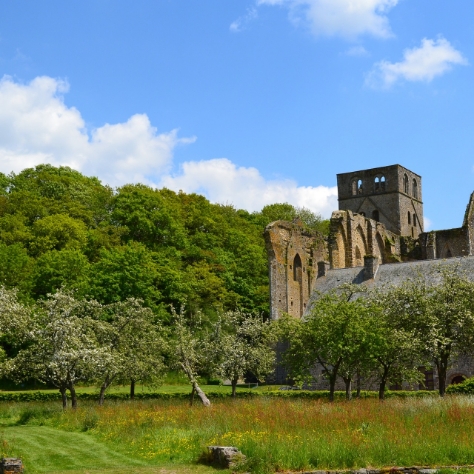 Abbaye d'Hambye
© B. HUREL Normandie Tourisme